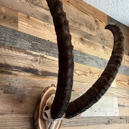 Casa Capricorn 公寓 达沃斯