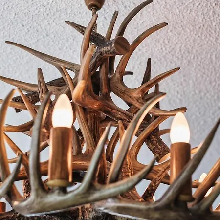 Casa Capricorn 公寓 达沃斯